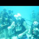 Bob willis - @BobBobwillis2 - Twitter