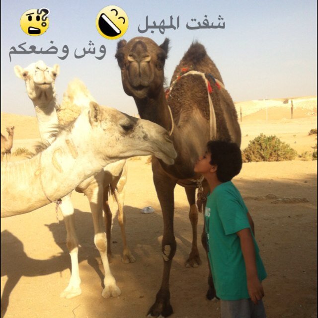 511Nasa's profile picture. ‏inter .. ستضل عشقي آلاول وسآضل عاشقك االمخلص