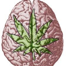 Tweets coming from #420kFeetHigh
You're welcome to ride my kloud!