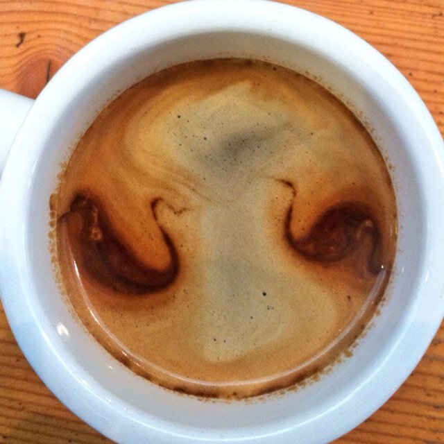 OnewithRiesling's profile picture. Working the earth, farming like mad, creating a palate of vegetables for our local community!