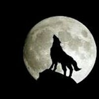 Kaempfer (@kaempfer_178) 's Twitter Profile Photo Kaempfer (@kaempfer_178) 's Twitter Profile Photo
