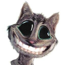 1pokitoDtodo's profile picture. Pasa un buen rato con mis tweets y retweets! Retwiteame y ayudame a llegar a mas gente :) #FOLLOWBACK