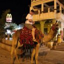 Scott Riddell - @scooterriddell - Twitter