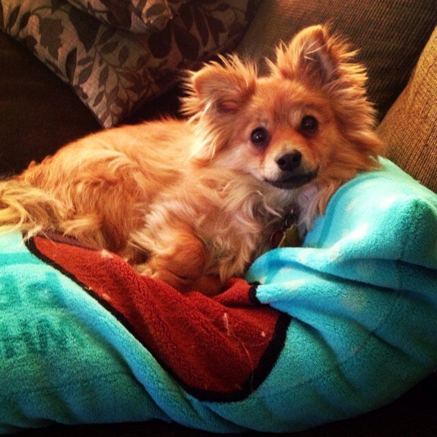 Connie1011's profile picture. 