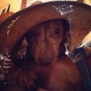 Heather Ammons - @h_ammons - Twitter