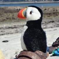 Nicholas Shilton (@shilliams) 's Twitter Profile Photo Nicholas Shilton (@shilliams) 's Twitter Profile Photo