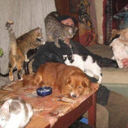 St_FrancisRo's profile picture. A welfare animal shelter registered as non- profit in Romania run by Stefan Marin.paypal: stefan.crc@gmail.com