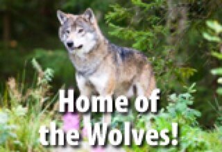 Official account for White Eagle Elementary School in Indian Prairie School Distict 204.
Go you White Eagle Wolves!
