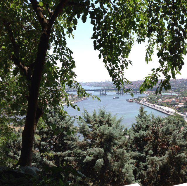 Balık Burcu ♓️