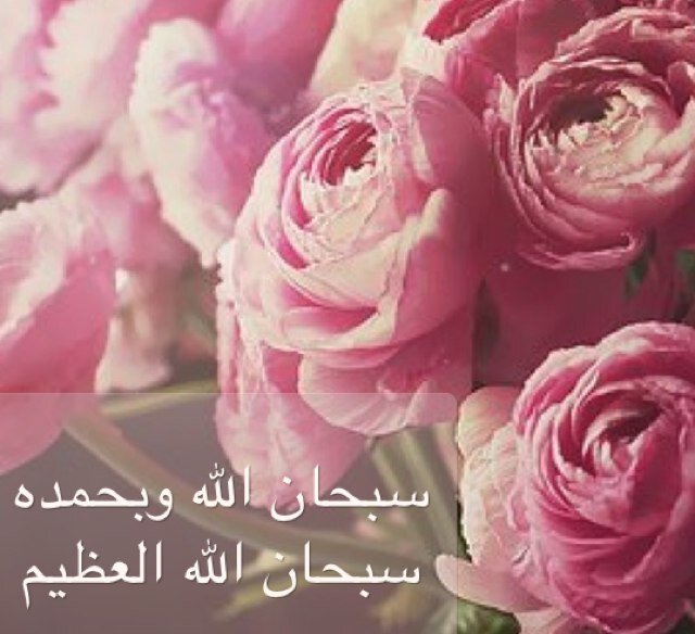،
كلمتان خفيفتان على اللسان ثقيلتان في الميزان حبيبتان إلى الرحمن
*سبحان الله وبحمده، سبحان الله العظيم*
،
حِساب مُخصص لِذكر الله