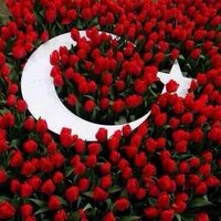mehmet sevindir  (@44sevindir) 's Twitter Profile