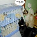 רותם כץ (@0544737318O) Twitter