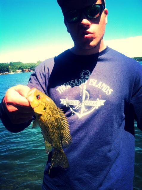 christomeister's profile picture. 