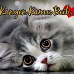 joogjakarta's profile picture. Ijinkanlah aku untuk slalu pulang lagi... Bila hati mulai sepi tanpa terobati...