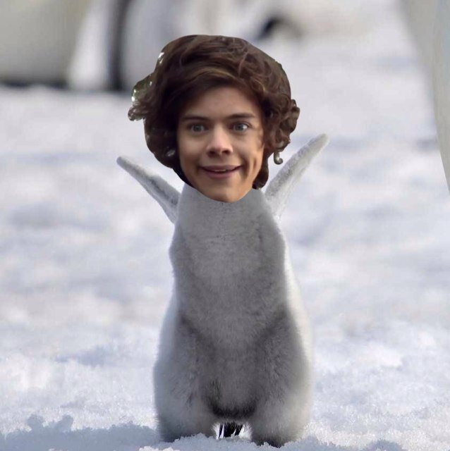 You got a free follow! Follow my main account: @_OnlyMeOfficial i follow back (: x
♡Saved Account♡