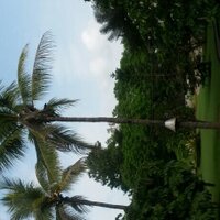 Prateek Agrawal (@prtk1191) 's Twitter Profile