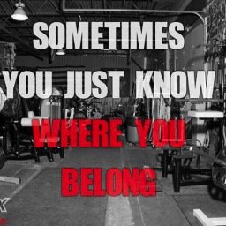 Gym_Freak1993's profile picture. Fitness, Motivation, Desire, Diet, Health, Schedule. These keys open doors but only together do they lead you to the best goals.