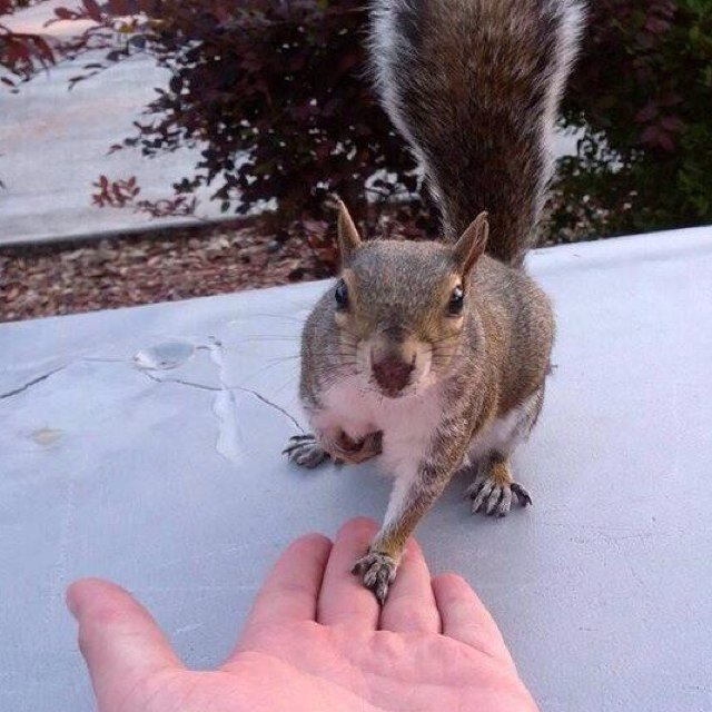 Buttjugger's profile picture. Fuck your couch
      -Rick James