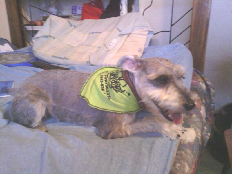 dbgmaster2's profile picture. 