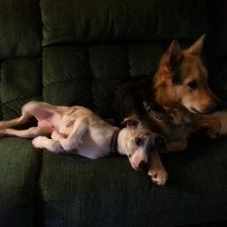 BrianMirabile's profile picture. Sports Writer, Aspired Advertiser