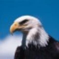 rhjonesjr's profile picture. Every day is a blessing. Proud to one of those who cling to certain things.