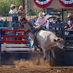 Texas BullRider (@texbullrider12) Twitter profile photo Texas BullRider (@texbullrider12) Twitter profile photo