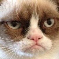 相互フォローのお手伝い (@_follower_up) 's Twitter Profile