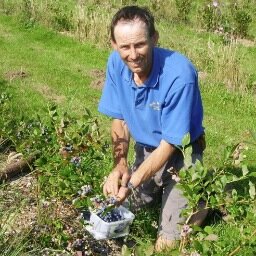 Growing and supplying organic fresh blueberries in the south of England. Local to the Horsham area.