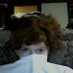 Profile Picture of Mrs. Valerie Collins (@MrCary_Hackett4) on Twitter