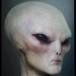 matosLanza Profile Picture