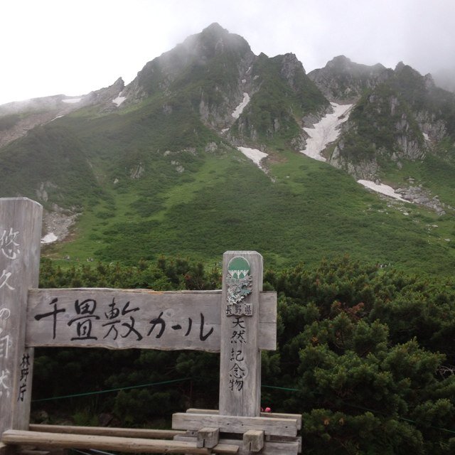 CNao703's profile picture. 