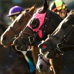 Official Track Photographer at Santa Anita, Del Mar, Los Alamitos/Thoroughbreds.  To purchase photos, check out the link below.