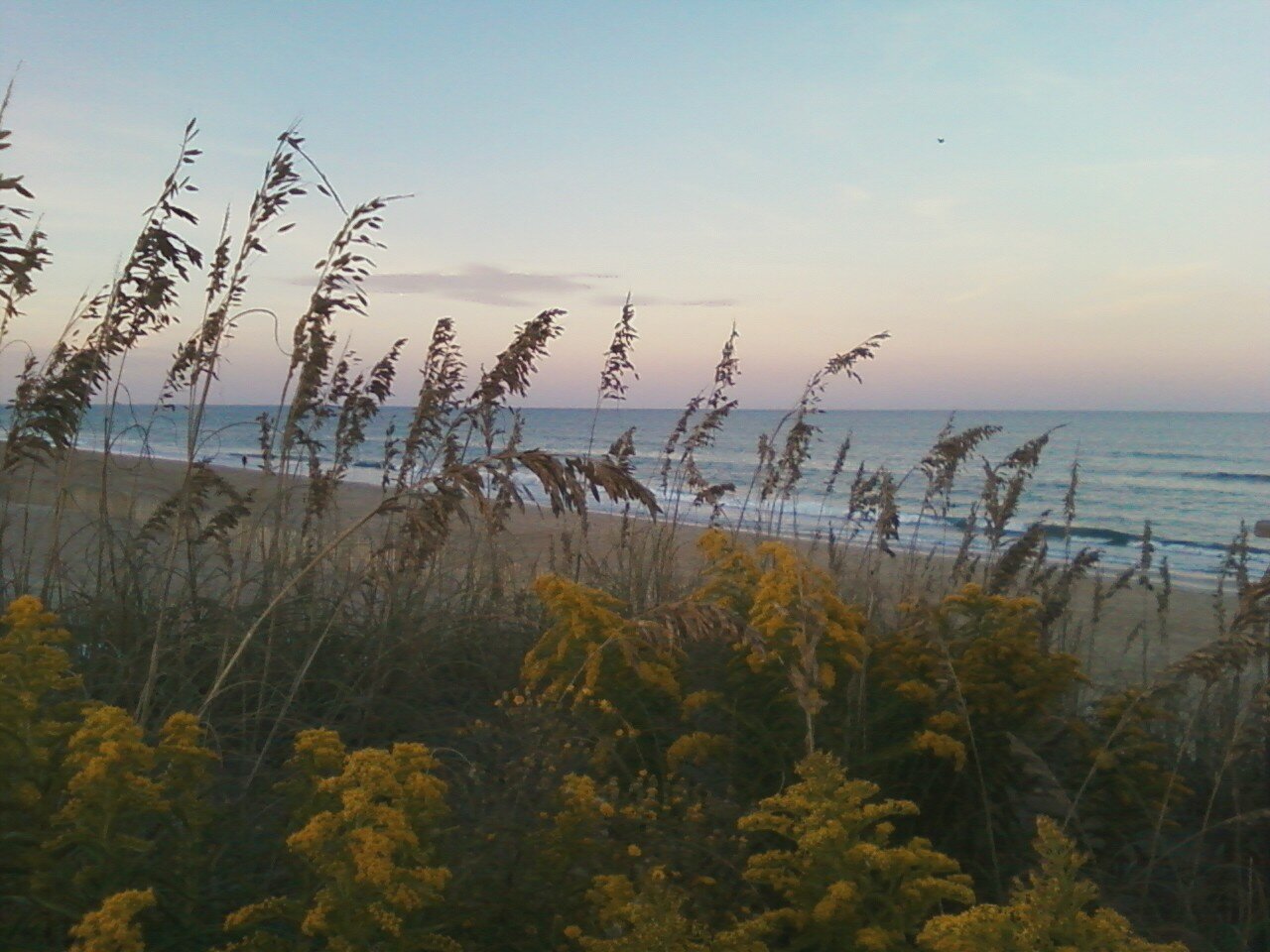 Internet Marketing Group - Joining together all interested in marketing through modern technology in the beautiful Outer Banks of North Carolina.  Let's Grow!