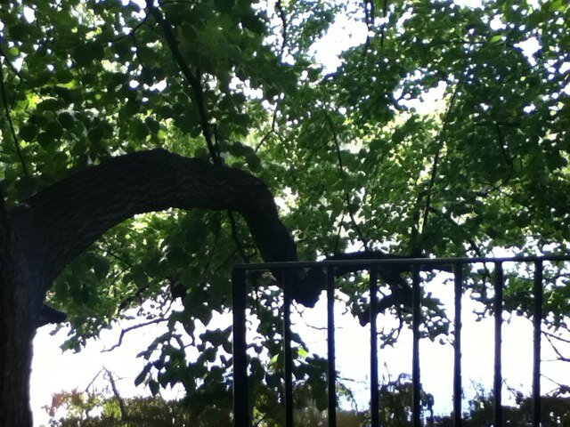 ark3rizboz's profile picture. #Fre