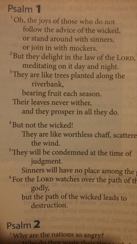 jcmltd2's profile picture. Keep God first place... and the second is like it... just love baby, love.