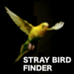 迷子の小鳥の保護情報を自動検索してツイートします。過去のツイートはtwilogで検索できます。探している小鳥が見つかりますように！