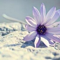أسمـــــــــاء 🌴 (@gooogooo21) Twitter profile photo