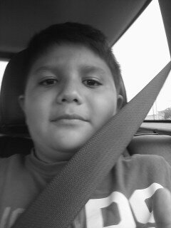 i love wwe  i like pizza and i am the big  fan of bella twins