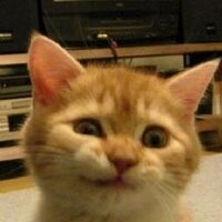 相互フォローサポート (@_follow_support) 's Twitter Profile