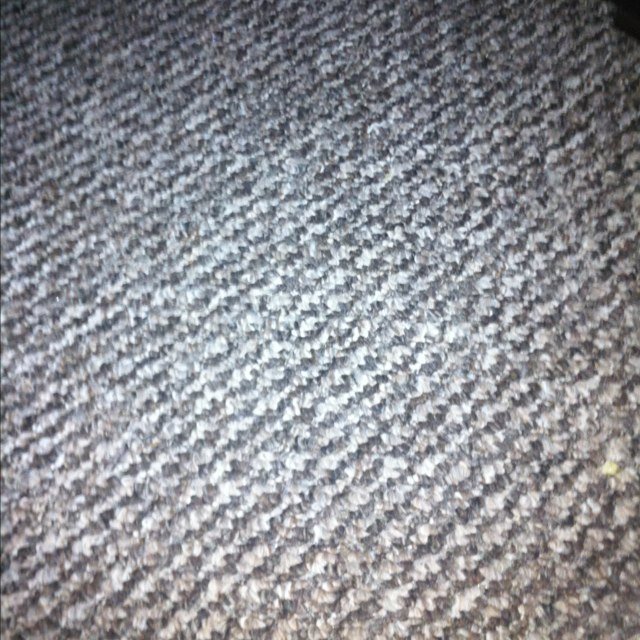 lewi_simpson's profile picture. 