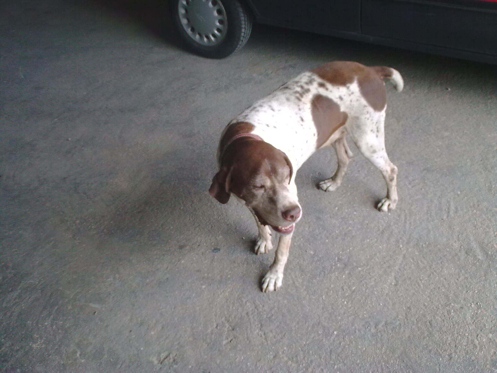 gambob1's profile picture. 