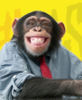 scimmio || 4 anni || sono scappato dallo zoo
