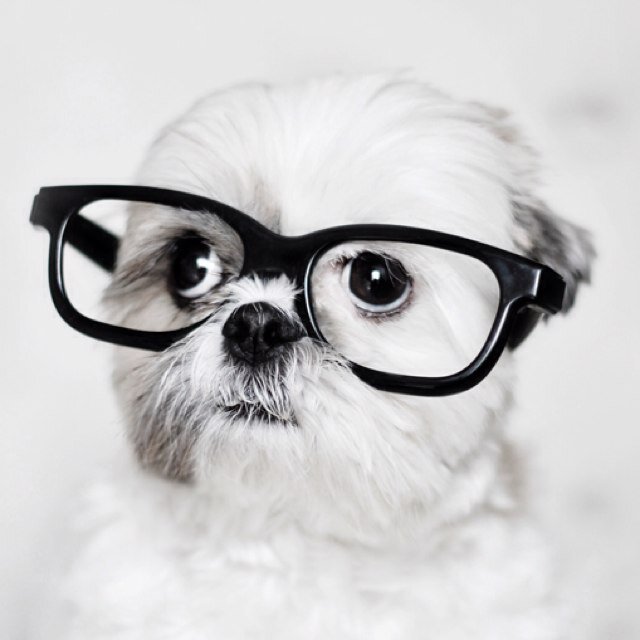 Life is short: Be silly. Be kind. Be weird. There’s no time for anything else.
