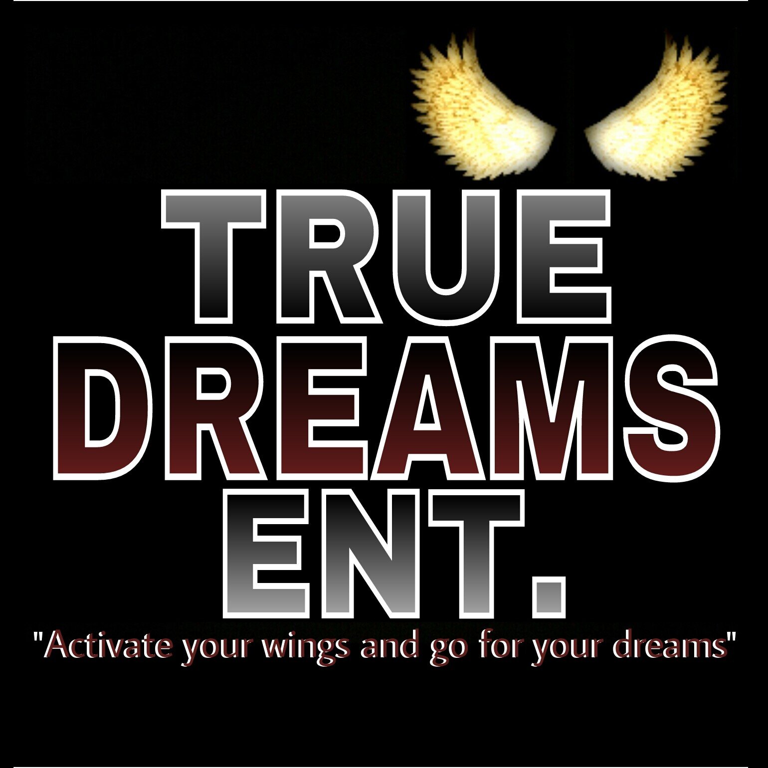 TrueDreamsLabel's profile picture. True talent. Real music. Activate your wings and go for your dreams! #hardwork #dedication #commitment