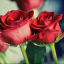 (* آلَجَ ـوِريّهِ*) (@053336_soso) Twitter