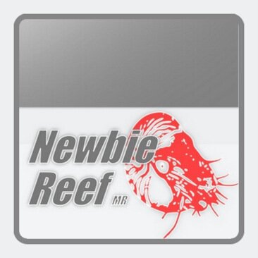 En Newbiereef hablamos de acuarios marinos y plantados. La mejor información sobre corales, peces, invertebrados y demás criaturas acuaticas.