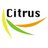 Citrus Consultancy
