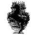 swmpmsh (@swmpmsh) Twitter profile photo swmpmsh (@swmpmsh) Twitter profile photo