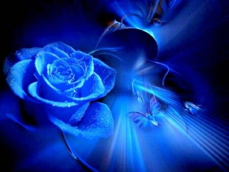 Escort Agency servicing the east coast of Australia. 
Currently looking for girls. fantasyroseescorts@gmail.com