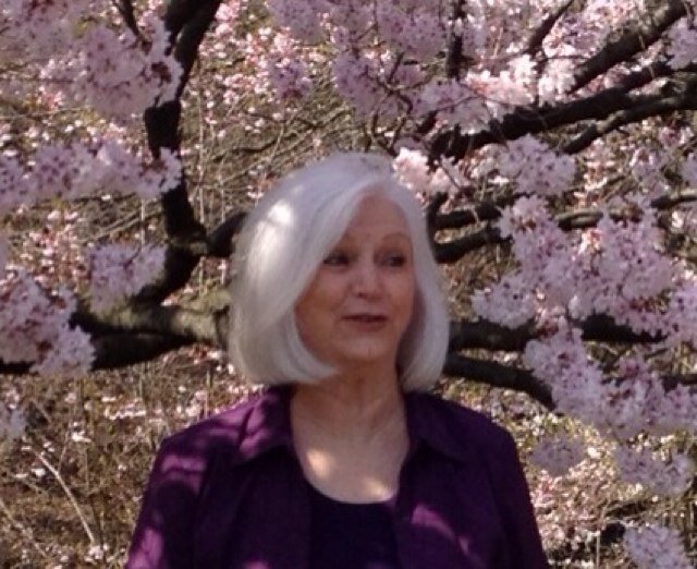 gmillsprignano's profile picture. 